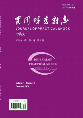 Journal of Practical Shock