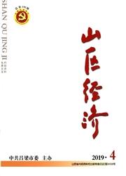 山区经济