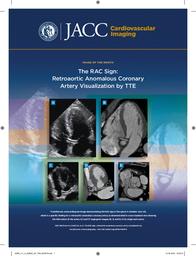 JACC-CARDIOVASC IMAG