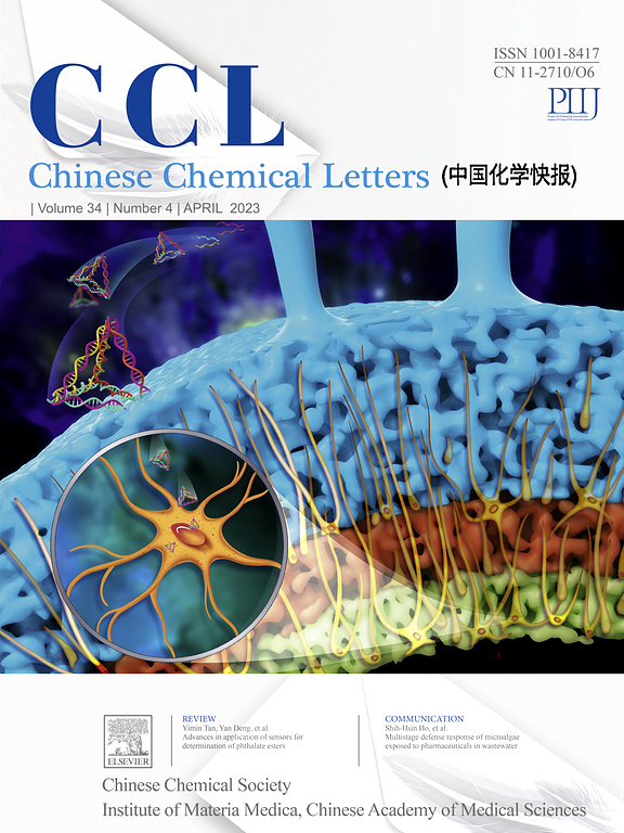 Chinese Chemical Letters