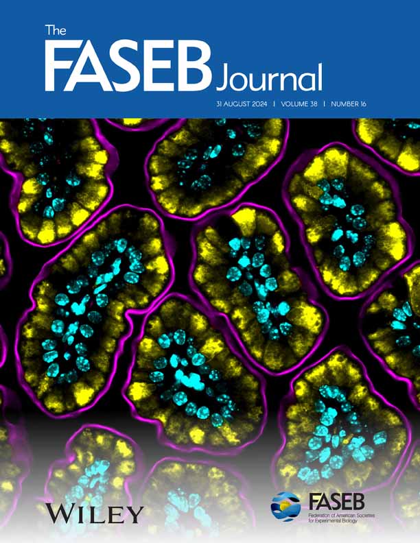 The FASEB Journal