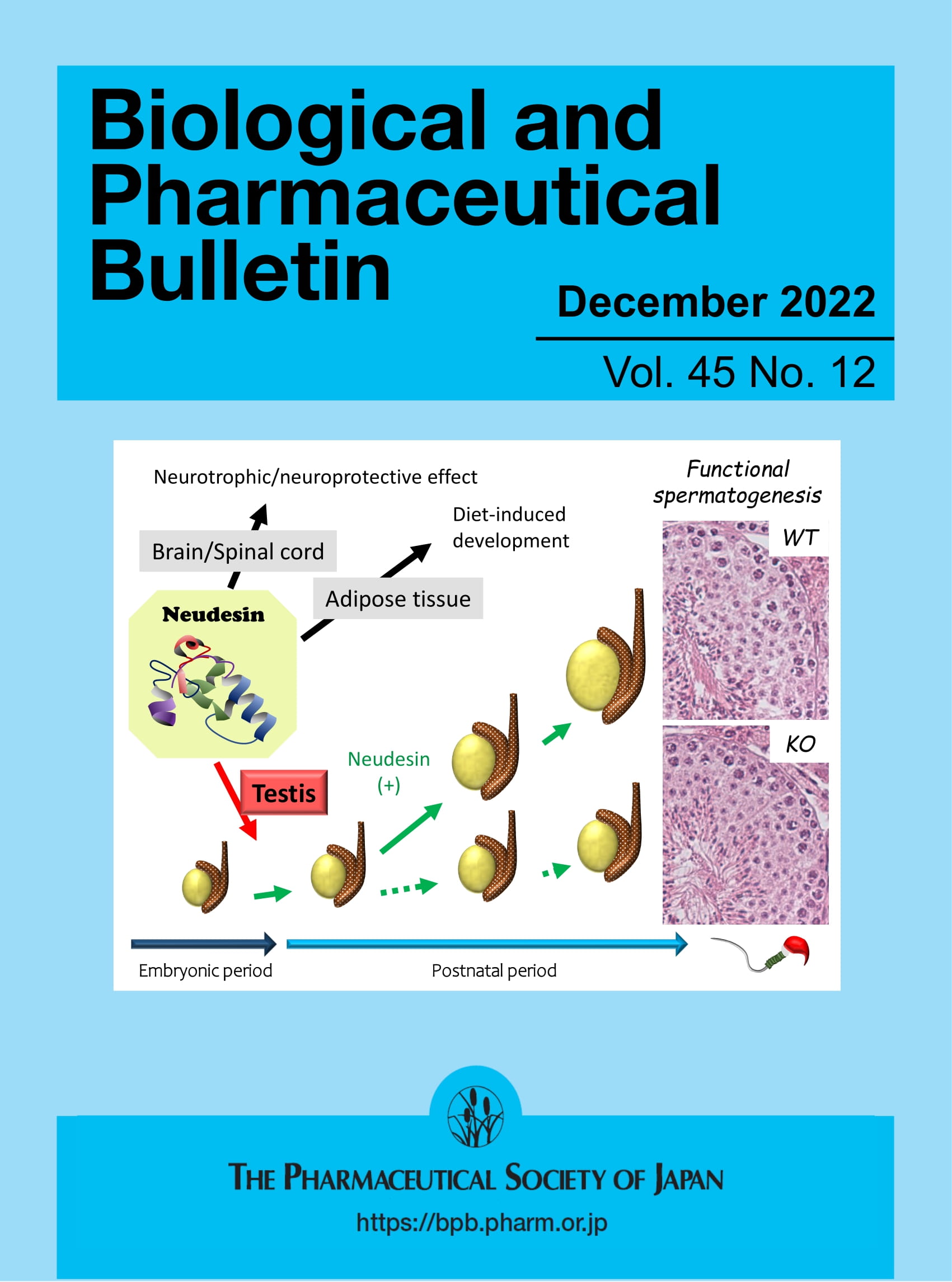 Biological & pharmaceutical bulletin