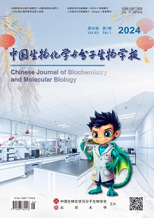 中国生物化学与分子生物学报