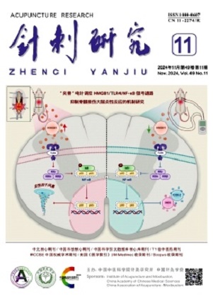 针刺研究