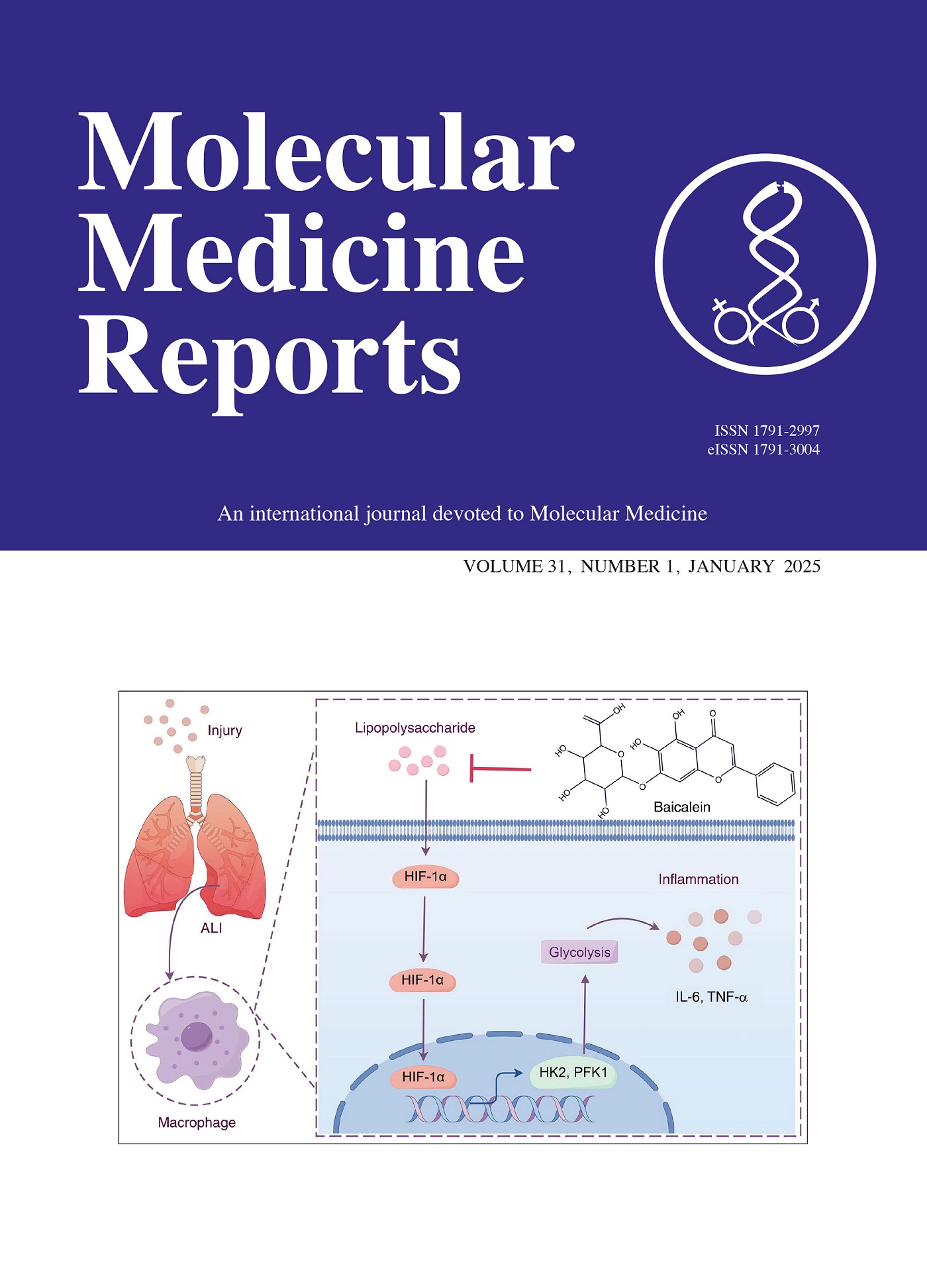 Molecular medicine reports