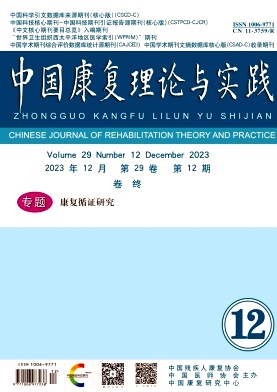 中国康复理论与实践