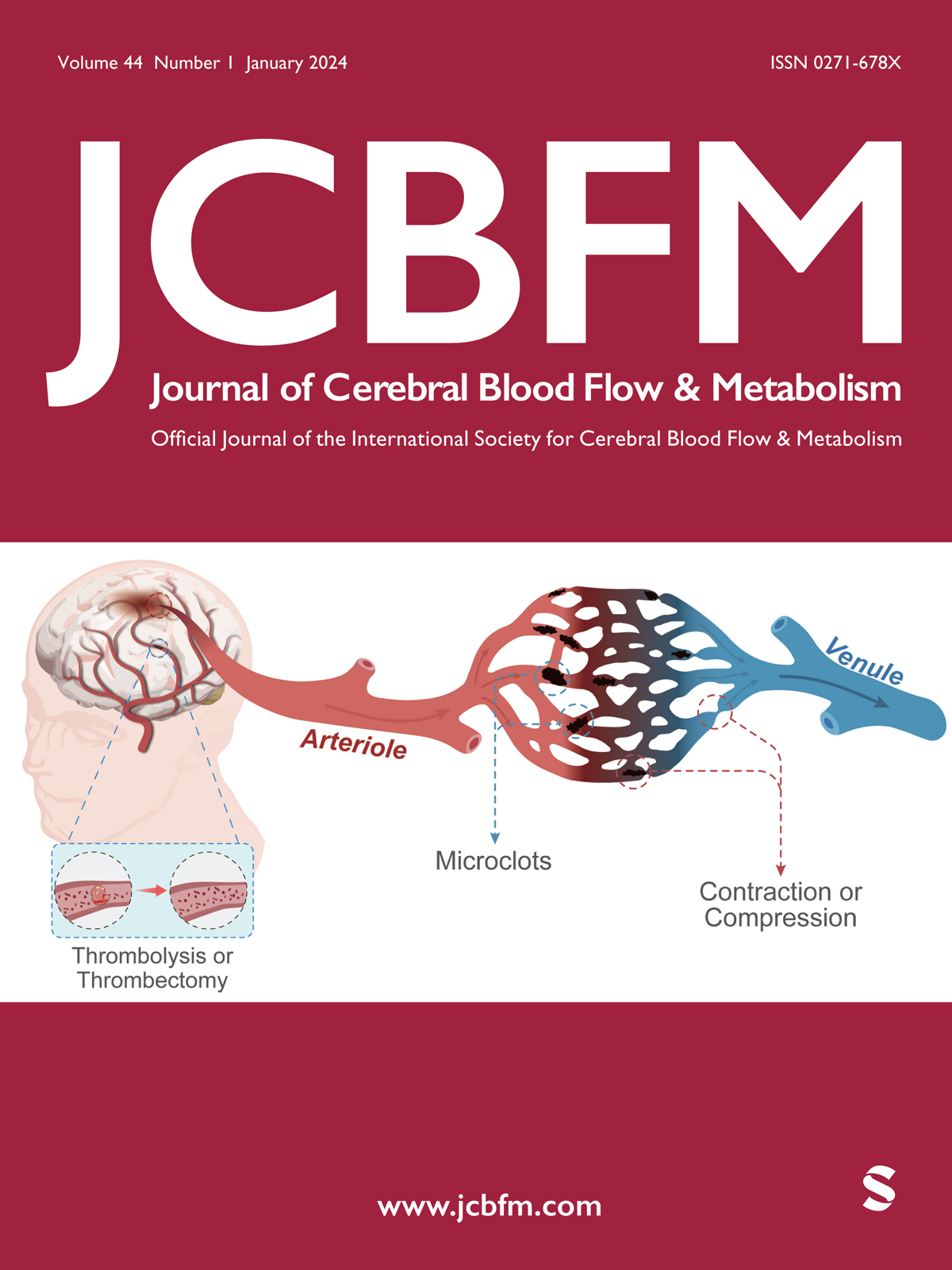 Journal of Cerebral Blood Flow and Metabolism