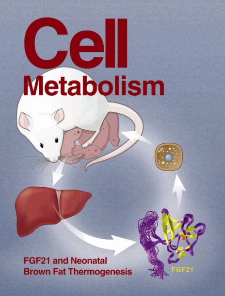 Cell Metab.