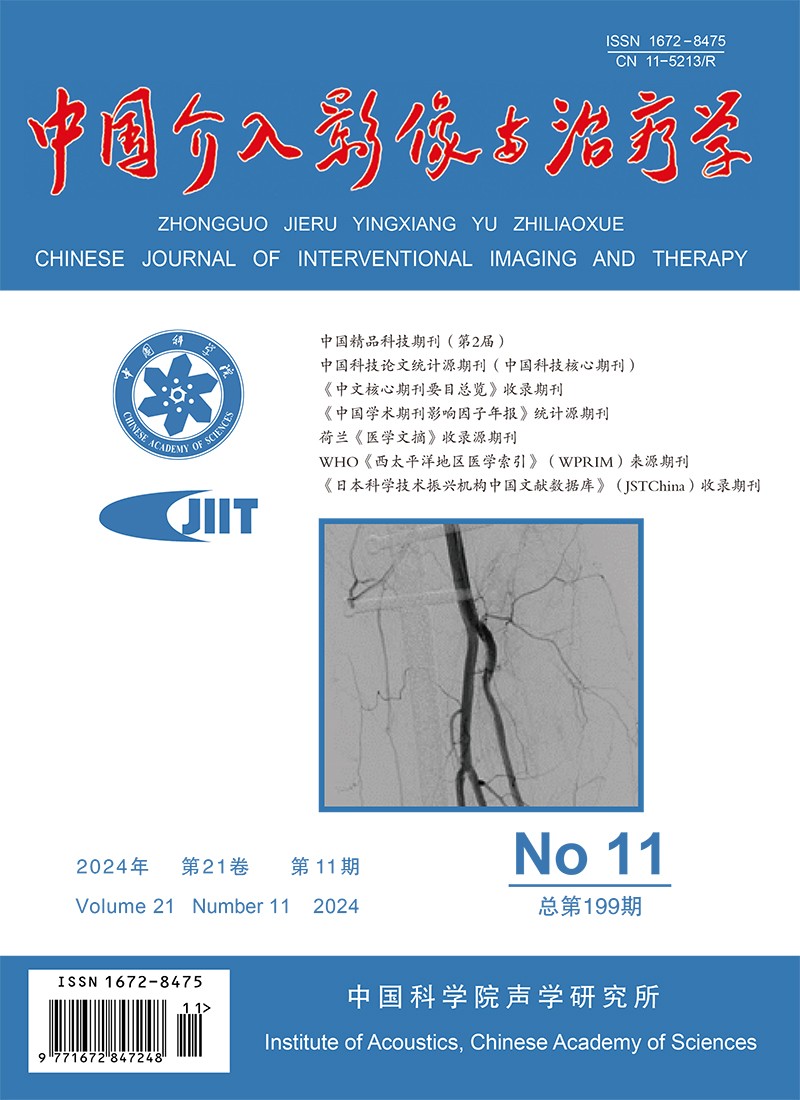 中国介入影像与治疗学
