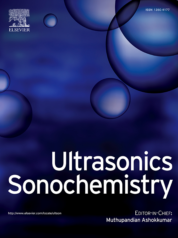 Ultrason. Sonochem.