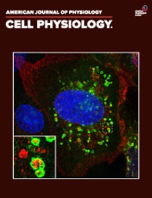 American journal of physiology. Cell physiology