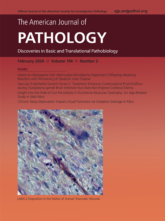 American Journal of Pathology