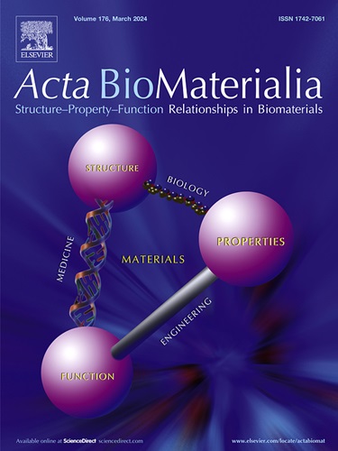 Acta Biomater.