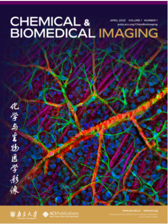 Chemical & Biomedical Imaging