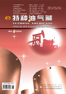 特种油气藏
